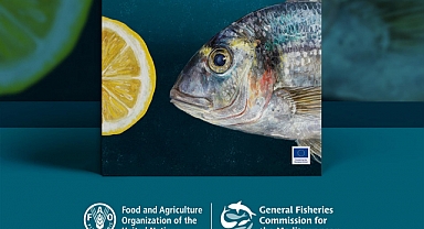 Yetiştirilen su canlıları yayını dünyanın en iyi ücretsiz mutfak kitabı seçildi