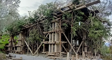 Bodrum'da kaçak inşaatı ağaç dallarıyla gizlemeye çalıştılar