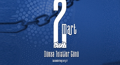 Prof. Dr. Akkurt, Dünya'da ve Türkiye'de 