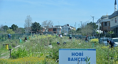 Beylikdüzü'nde Hobi Bahçeleri Sahipleriyle Buluştu