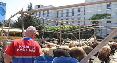 Kurbanlıklar Pazar Yerlerinde Alıcıları Bekliyor