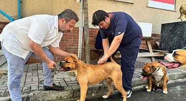 Sarıyer'de Kuduz Aşısı Kampanyası Başladı
