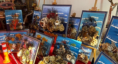Sanat Dünyasına Yeni Bir Işık: Dr. Vedat Akman