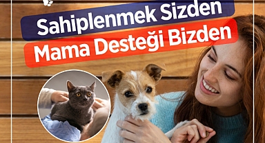 Sarıyer Belediyesi'nden, 'Sahiplenmek Sizden Mama Desteği Bizden'