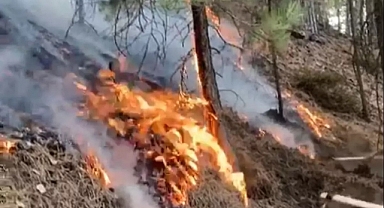 Denizli'de korkutan yangın! 'Bölgeye itfaiye ulaşamıyor'