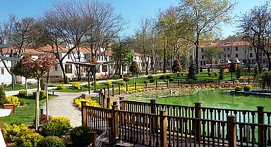 Ankara Kızılay'da 210 anıt ağaç koruma altında... Tarihi doku korunarak yenilendi