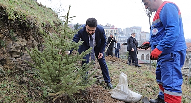 Her Bebek Bir Ağaçla Büyüyor: Kâğıthane'de Yeşil Gelecek