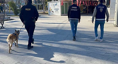 Adıyaman'da narkotikten 'Cadı'lı denetim