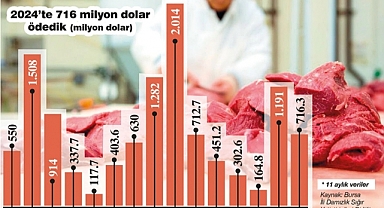 Et ithalatına 11 Milyar Dolar Gitti!