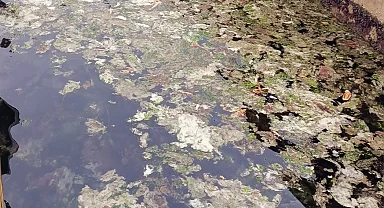 Müsilaj yoğunlaşarak sürüyor!
