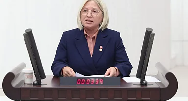 CHP'li Yontar Ceyport Limanı'nın kirliliğini TBMM'ye taşıdı