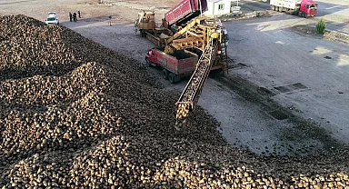 Erzurum ve Erzincan'da pancar hasadı tamamlandı
