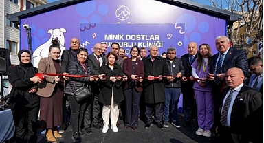 Minik Dostlar, Üsküdar'da Bulgurlu Kliniğinde Sağlığa Kavuşuyor!