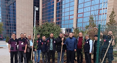 AKAD'dan Fidan Dikim Etkinliği