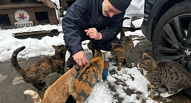 Kâğıthane’de Bir Yılda 10 Bin 882 Can Dost Rehabilite Edildi