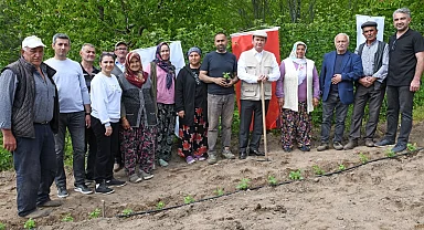 Bursa Osmangazi Belediyesi’nden tarımsal üretim adımı