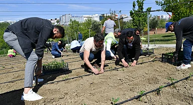 İstanbul Beylikdüzü'nde yaşam bahçesi yaza hazır