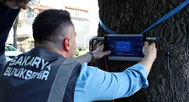 Sakarya'dan doğaya ‘şifa’ gibi adım... Yeşil cennetin tomografisi çekilecek