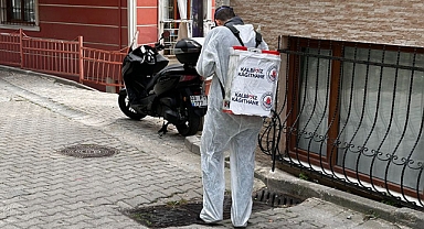 Kâğıthane’de Yaz Boyu Haşerelere Geçit Yok