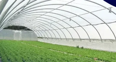 KOP destekli seracılık projesi Selçuklu’da hayata geçiyor