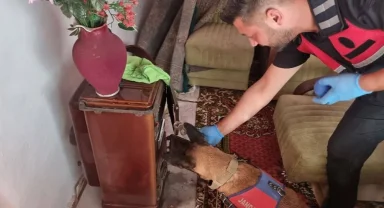 Bilecik Pazaryeri'nde uyuşturucu operasyonu