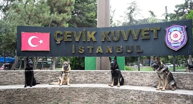 Patili Kahramanlar Görev Başında..!