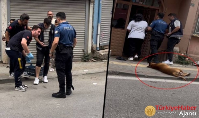 Köpeğine Polis Memurunu Isırtan Şahıs Tutuklandı