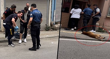 Köpeğine Polis Memurunu Isırtan Şahıs Tutuklandı