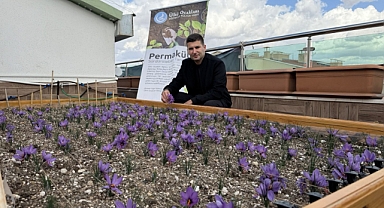 Ülkü Ocakları Genel Merkezi’nin Terasında Gizemli Görüntüler