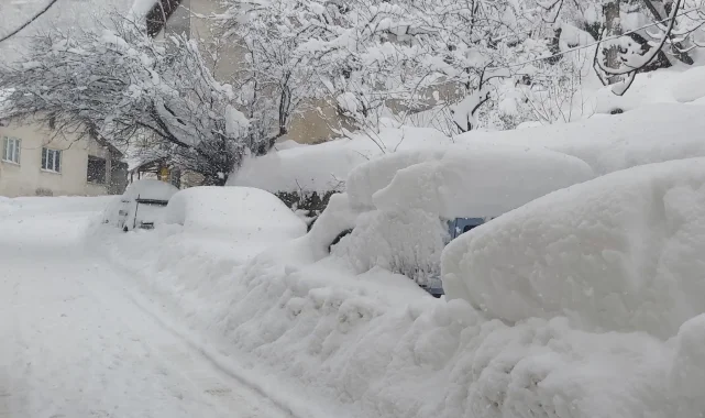 AFAD'dan Doğu ve Batı Karadeniz ile Doğu Anadolu'ya çığ uyarısı!
