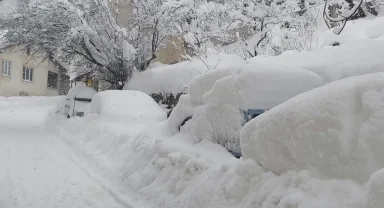 AFAD'dan Doğu ve Batı Karadeniz ile Doğu Anadolu'ya çığ uyarısı!