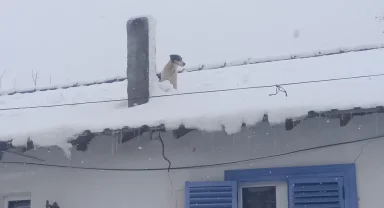 Bilecik Pazaryeri'nde kar altında kurtarma operasyonu