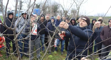 İzmit'te üreticilere uygulamalı budama eğitimi