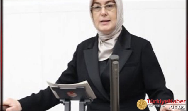 AKP'li Milletvekili Akyol'un Park İhlalini Eleştirenlere Hapis Cezası 