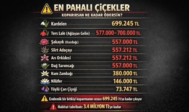 Çiçek koparırken cebiniz delinebilir, işte çiçekler ve koparma cezaları! 