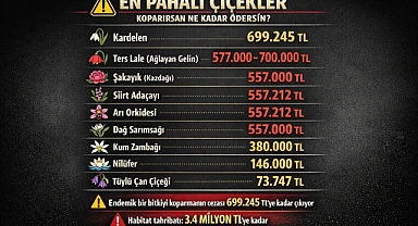Çiçek koparırken cebiniz delinebilir, işte çiçekler ve koparma cezaları! 