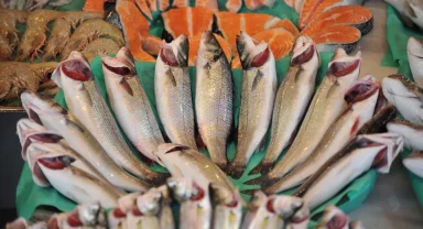 Su ürünleri sektörü Future Fish Eurasia’da buluşuyor