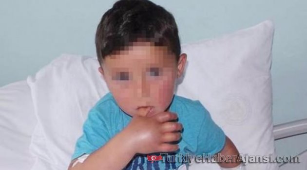 3 Yaşındaki Çocuğu Hastanede Yılan Isırdı!