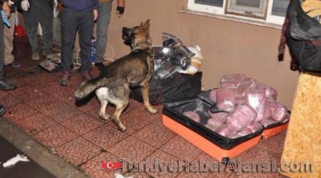 Aksaray'da 145 Kilo Esrar Ele Geçirildi