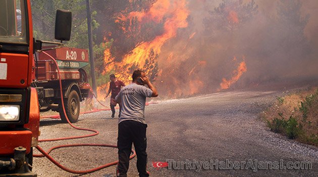 Alanya'da Orman Yangını, Evler Tahliye Ediliyor