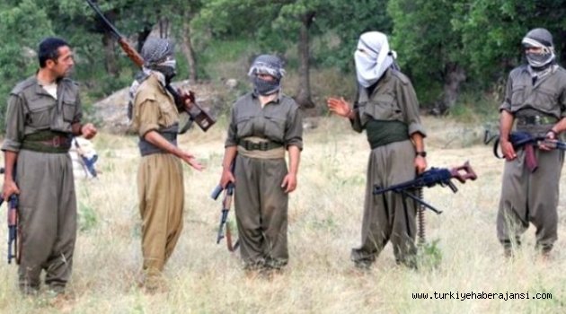 Aşiretlerden PKK'ya Açık Mesaj!