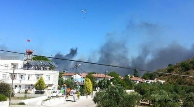 Avşa Adası'nda Büyük Yangın