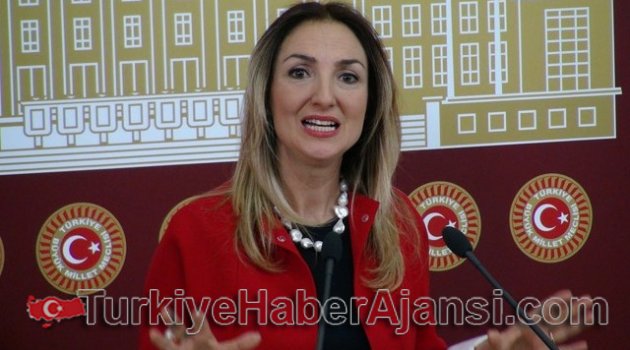 Aylin Nazlıaka Disiplin Kurulu'na Sevk Edildi