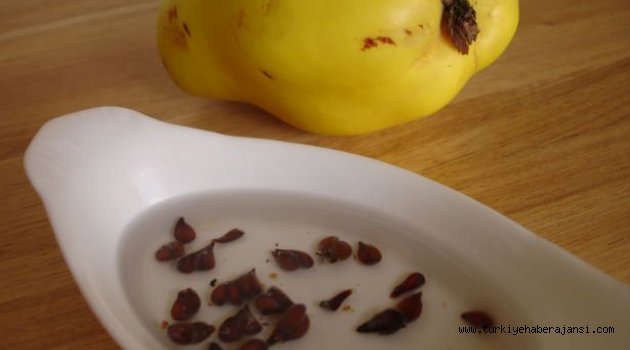 Ayva Çekirdeğinin İnanılmaz Faydası