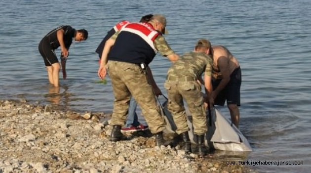 Bayramın En Acı Bilançosu: 106 Ölü!