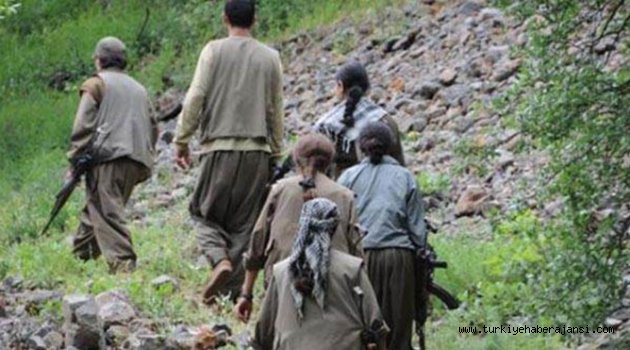 Bitlis'te Teröristler Yol Kesti