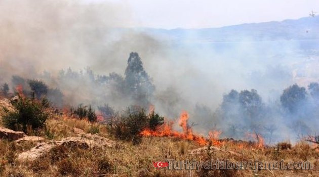 Bodrum'da Korkutan Yangın