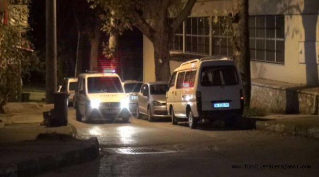 Bursa'da Ayı Paniği