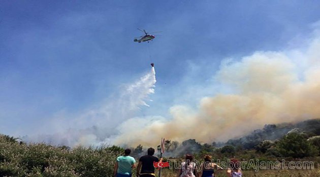 Çeşme'de Korkutan Yangın!
