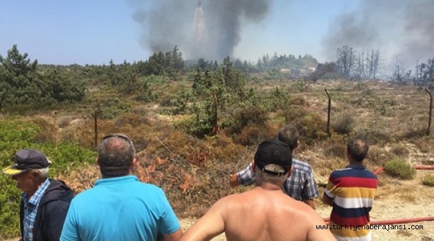 Çeşme'de Otluk Alanda Yangın